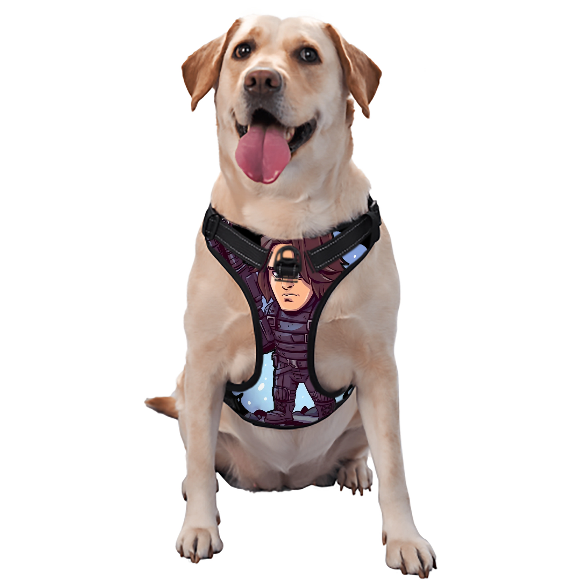 （画像用） アベンジャーズ The Avengers ペット用ハーネス